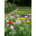 Blumenwiese "Blattläuse" 30m²